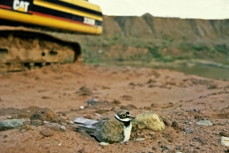 Fears grow for quarries with landfill tax hike Fears grow for quarries with landfill tax hike