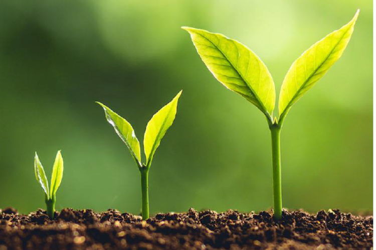 Construction returned to growth June says ONS