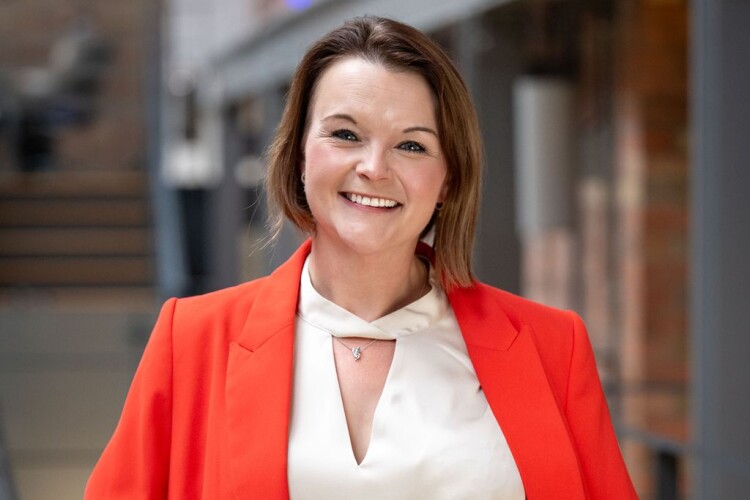 Hill appoints business growth director