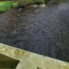 Galliford Try to monitor Devon and Cornwall rivers