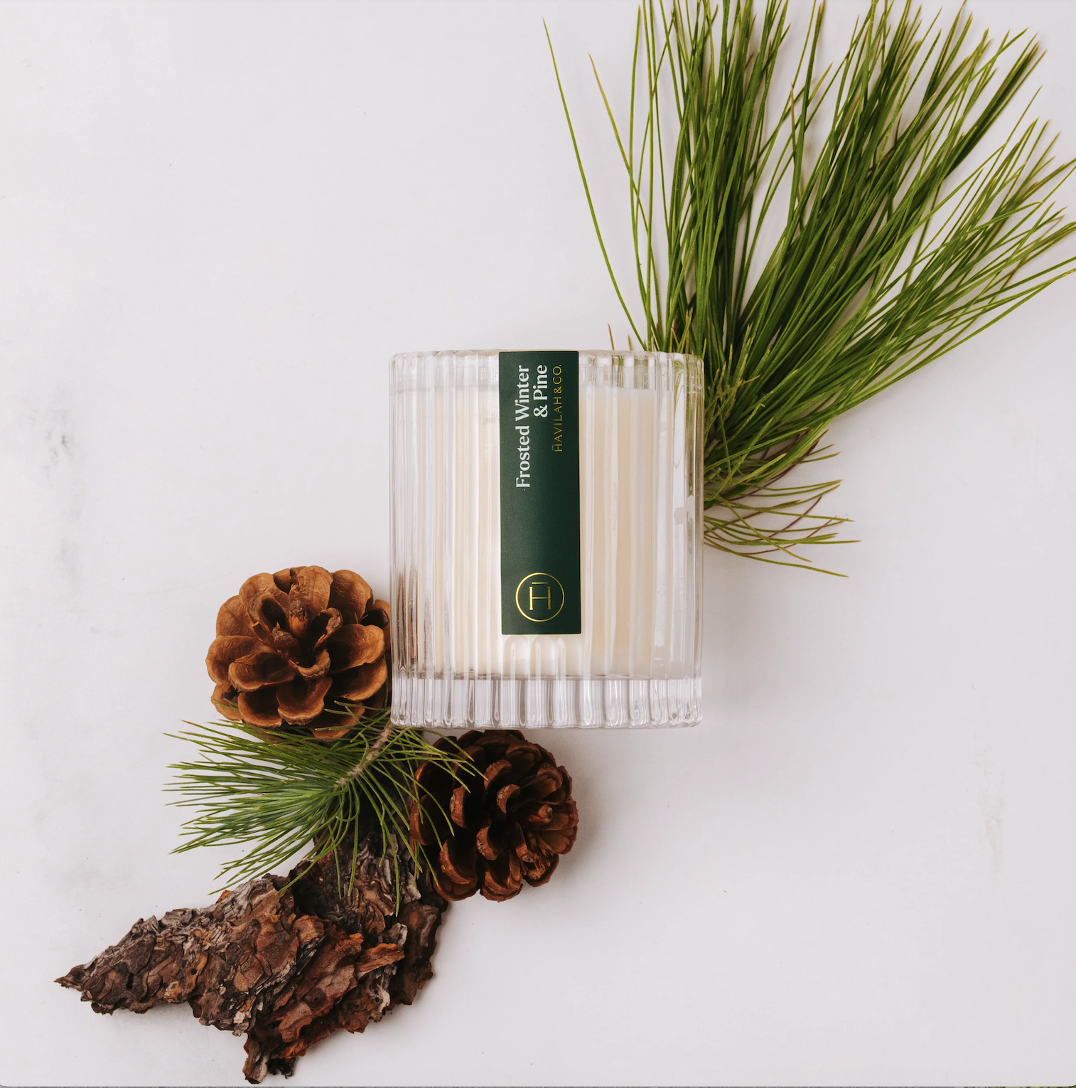 New & Noteworthy: January Trend Advisor edition