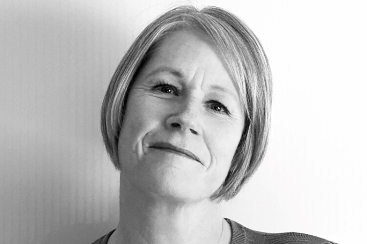 Government is &lsquo;dumbing down&rsquo; skills with its apprentice reforms