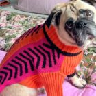 The Rising Popularity of Pet Portraits