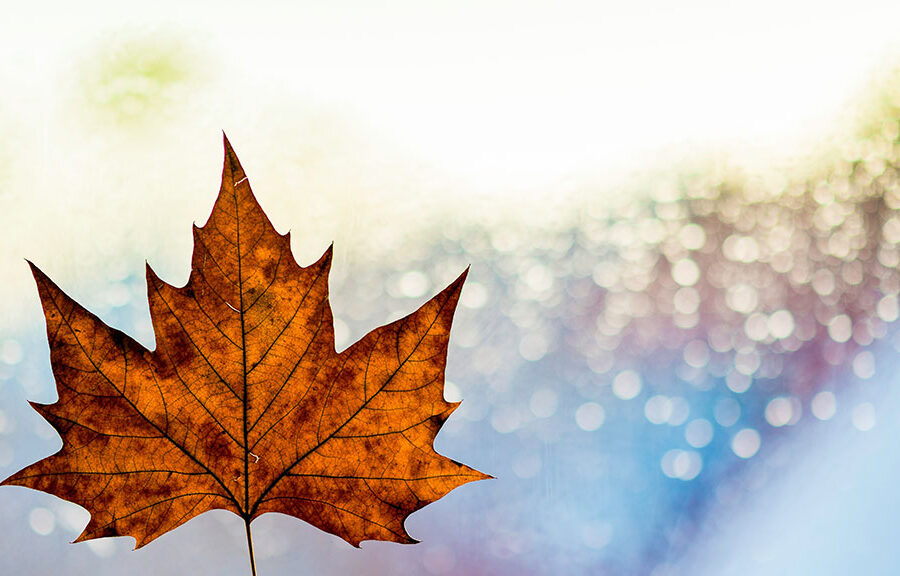 Housing minister says Liberal ridings aren&rsquo;t favoured for funding after Gladu comment