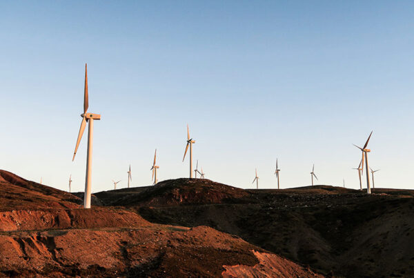 Ontario electricity system to add 14 new solar, wind projects