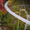 Ontario fast-tracks Red Lake Transmission Line