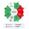 A new path towards net zero