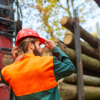 Minister says Canadian forestry crisis goes beyond Trump tariffs Minister says Canadian forestry crisis goes beyond Trump tariffs