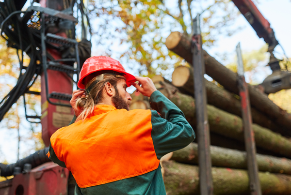 Minister says Canadian forestry crisis goes beyond Trump tariffs Minister says Canadian forestry crisis goes beyond Trump tariffs