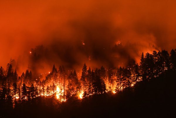 Fires from coast to coast: A look at the wildfire situation across the country Fires from coast to coast: A look at the wildfire situation across the country