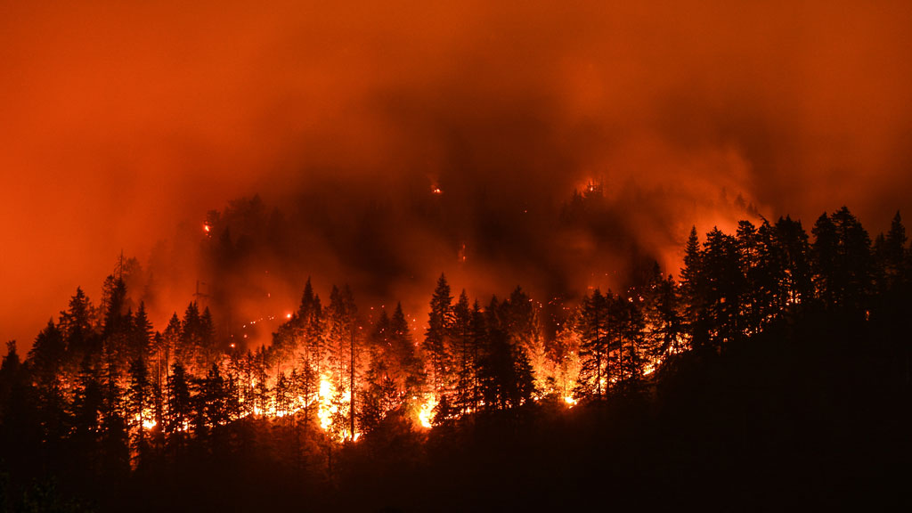 Fires from coast to coast: A look at the wildfire situation across the country Fires from coast to coast: A look at the wildfire situation across the country