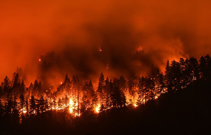 This is Ontario’s worst wildfire season, early estimates suggest. It’s not over yet. This is Ontario’s worst wildfire season, early estimates suggest. It’s not over yet.