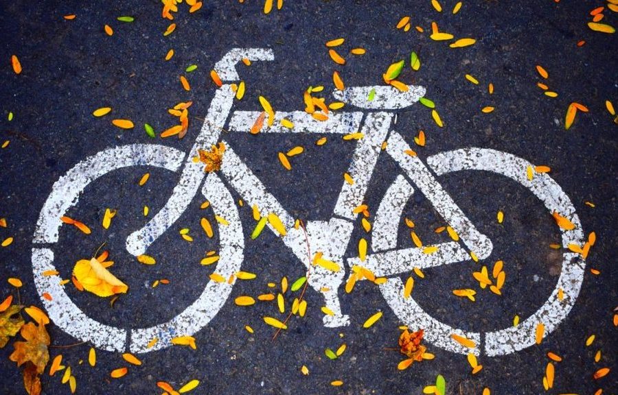 &lsquo;A win for common sense&rsquo;: Alberta chimes in on Ontario&rsquo;s recent bike lane decision