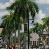 Doral, Fla.: From Marshland to Booming Miami Suburb Doral, Fla.: From Marshland to Booming Miami Suburb