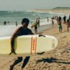 How Cape Cod Became a Destination for Shark Tourism