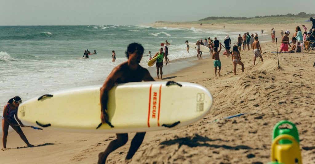 How Cape Cod Became a Destination for Shark Tourism