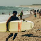 How Cape Cod Became a Destination for Shark Tourism How Cape Cod Became a Destination for Shark Tourism
