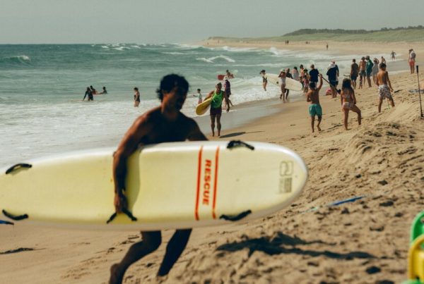 How Cape Cod Became a Destination for Shark Tourism How Cape Cod Became a Destination for Shark Tourism