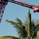 How Developer Stephen Ross Is Remaking West Palm Beach