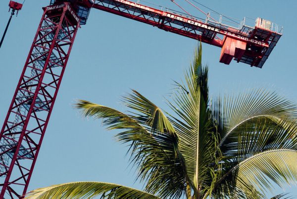 How Developer Stephen Ross Is Remaking West Palm Beach How Developer Stephen Ross Is Remaking West Palm Beach