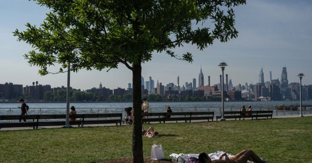 How Much of N.Y.C. Is Covered by Trees? Not Enough. How Much of N.Y.C. Is Covered by Trees? Not Enough.