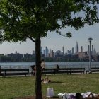 How Much of N.Y.C. Is Covered by Trees? Not Enough.