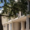 The Developers Who Spent 0,000 to Save One Maple Tree