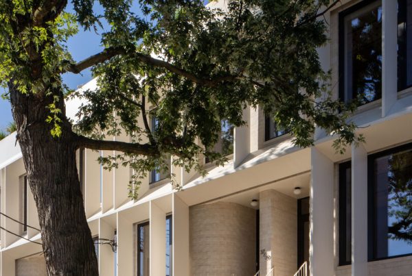 The Developers Who Spent 0,000 to Save One Maple Tree The Developers Who Spent 0,000 to Save One Maple Tree