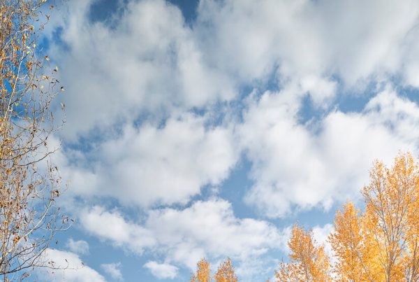 In Jackson, Wyoming, a Couple Built an A.D.U. and Moved In In Jackson, Wyoming, a Couple Built an A.D.U. and Moved In