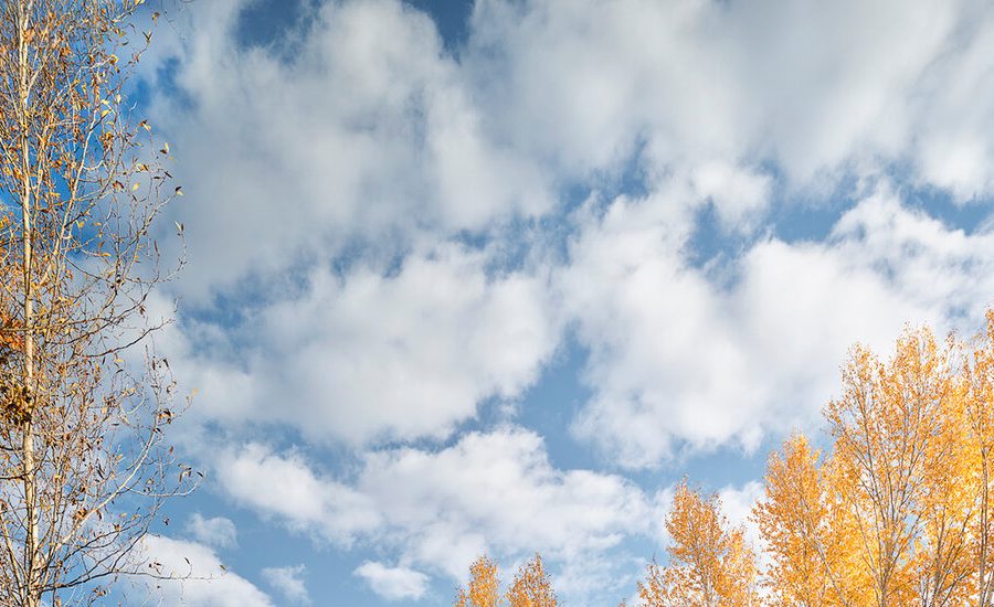 In Jackson, Wyoming, a Couple Built an A.D.U. and Moved In In Jackson, Wyoming, a Couple Built an A.D.U. and Moved In