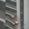 VIDEO: Platform holding workers swings uncontrollably as wicked storm rips through Toronto VIDEO: Platform holding workers swings uncontrollably as wicked storm rips through Toronto